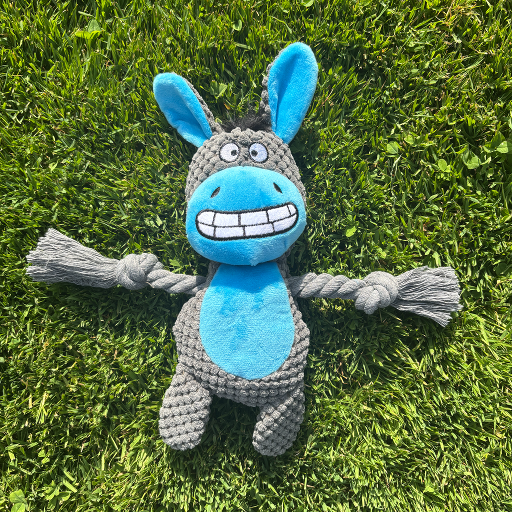 Denny the Donkey – Goofy-Eyed Friends Plush Squeaky Dog Toy
