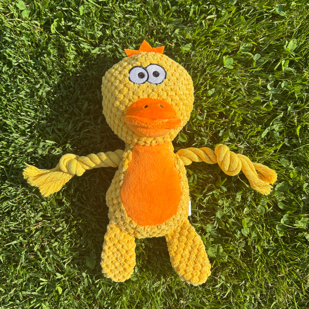 🐥 Daisy the Duck – Goofy-Eyed Friends™ Plush Squeaky Dog Toy