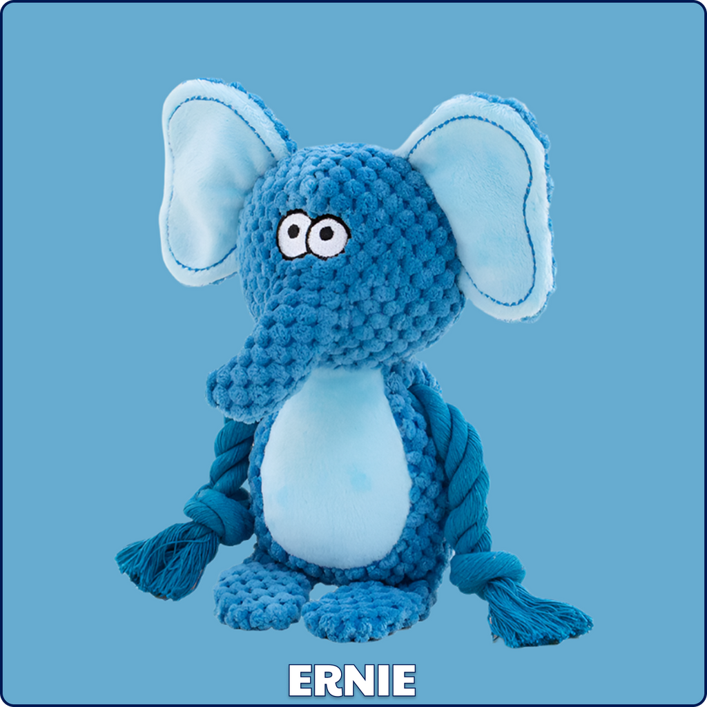 Ernie the Elephant – Goofy-Eyed Friends™ Plush Squeaky Dog Toy