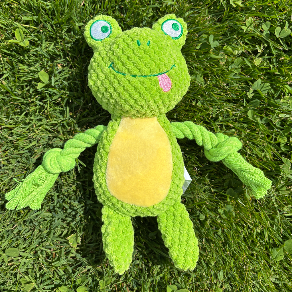 🐸 Felix the Frog – Goofy-Eyed Friends™ Plush Squeaky Dog Toy