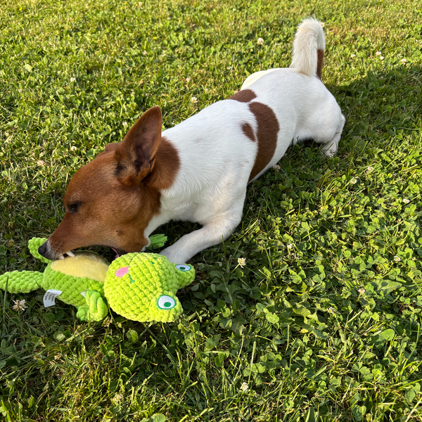 🐸 Felix the Frog – Goofy-Eyed Friends™ Plush Squeaky Dog Toy