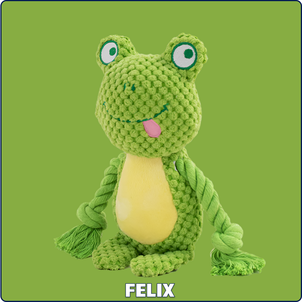 Felix the Frog – Goofy-Eyed Friends™ Plush Squeaky Dog Toy