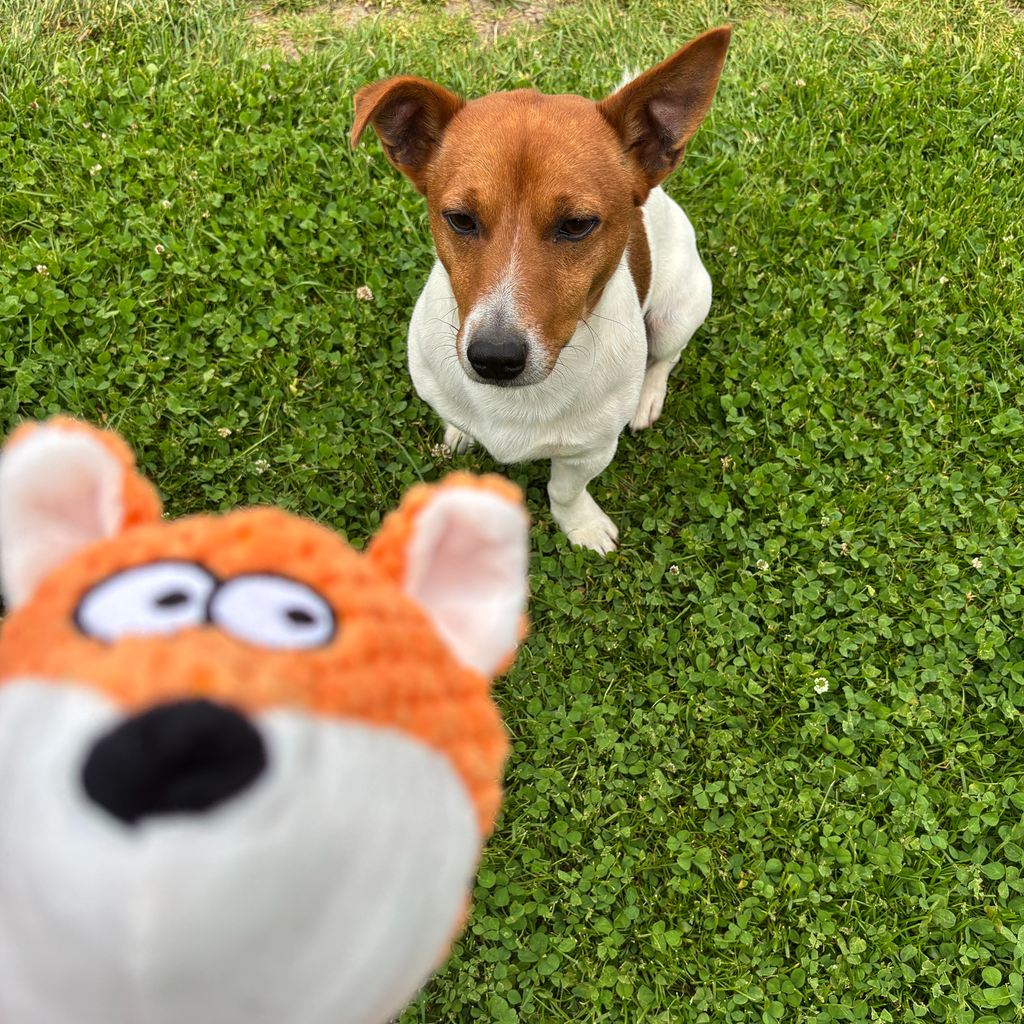 🦊 Finn the Fox – Goofy-Eyed Friends™ Plush Squeaky Dog Toy
