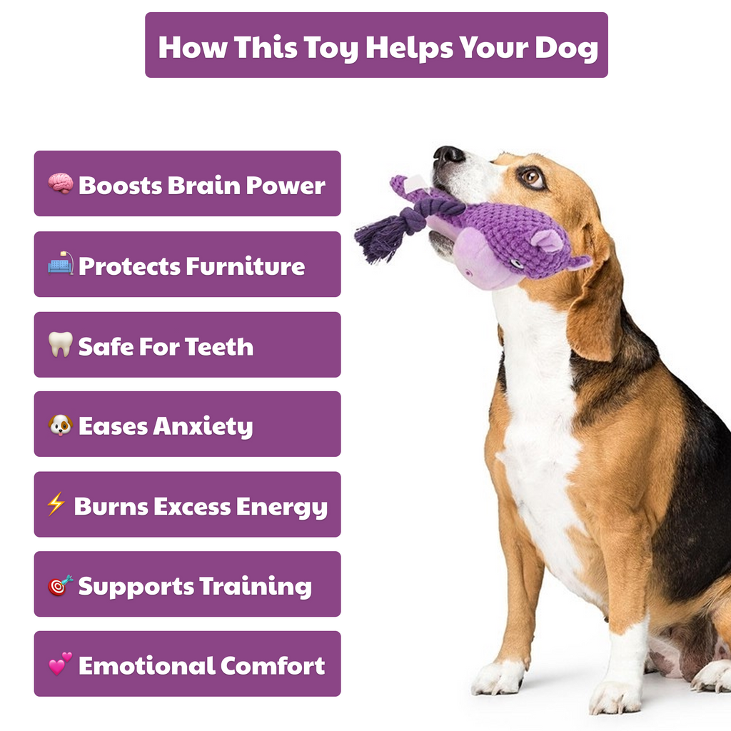 🦛 Harper the Hippo – Goofy-Eyed Friends™ Plush Squeaky Dog Toy
