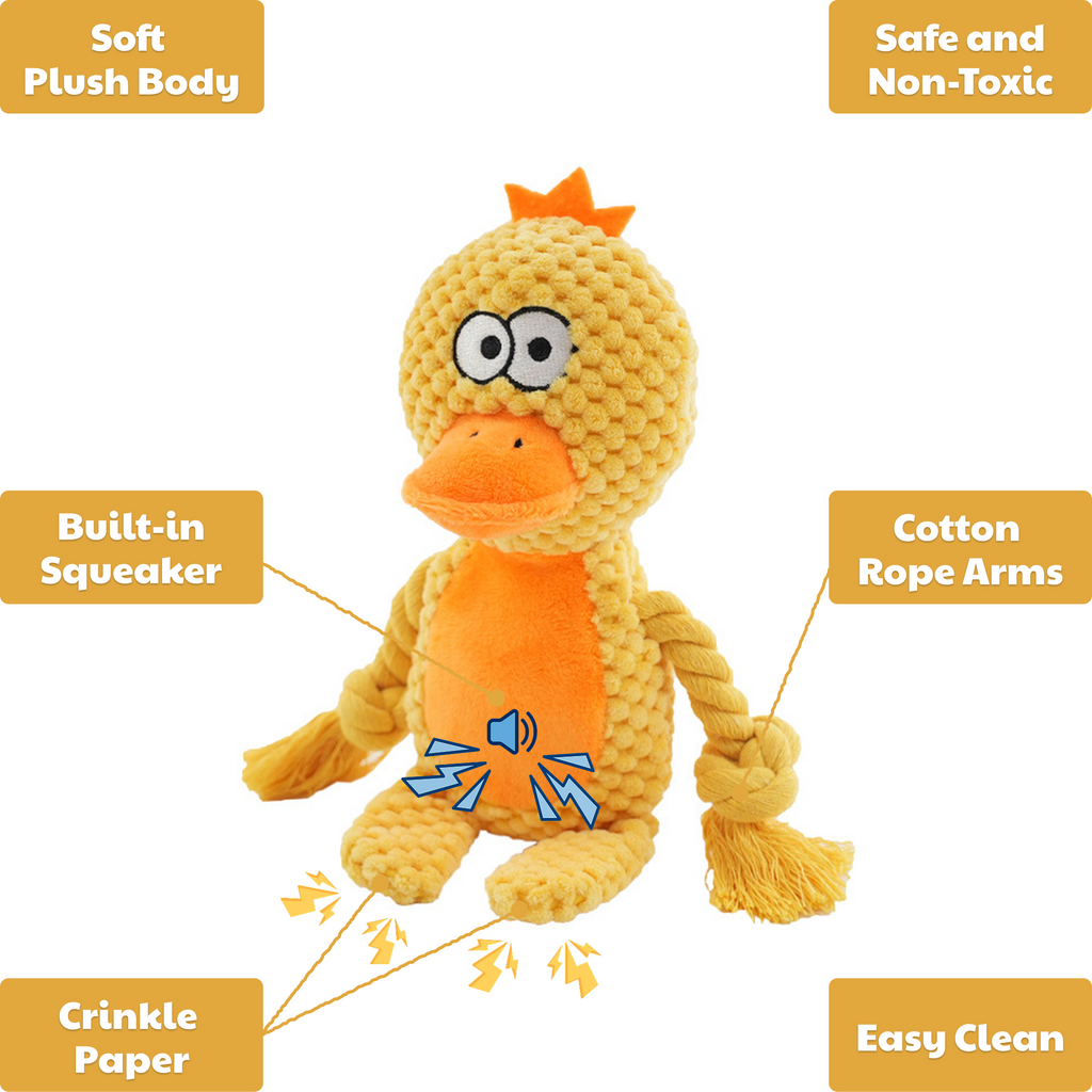 🐥 Daisy the Duck – Goofy-Eyed Friends™ Plush Squeaky Dog Toy