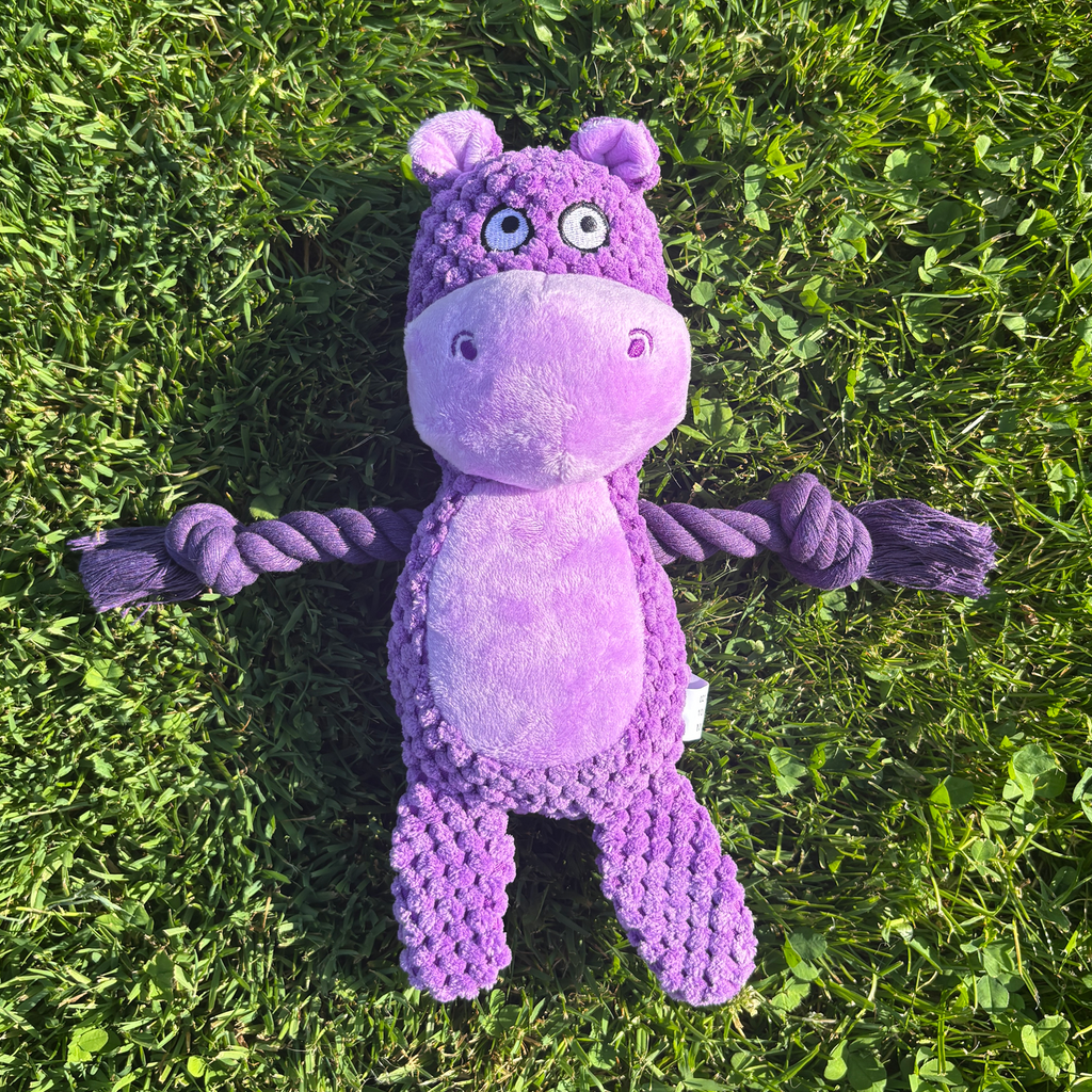🦛 Harper the Hippo – Goofy-Eyed Friends™ Plush Squeaky Dog Toy