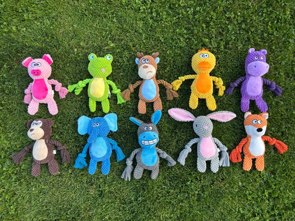 Goofy-Eyed Friends™ Collection – Complete 10-Pack Plush Dog Toys Bundle