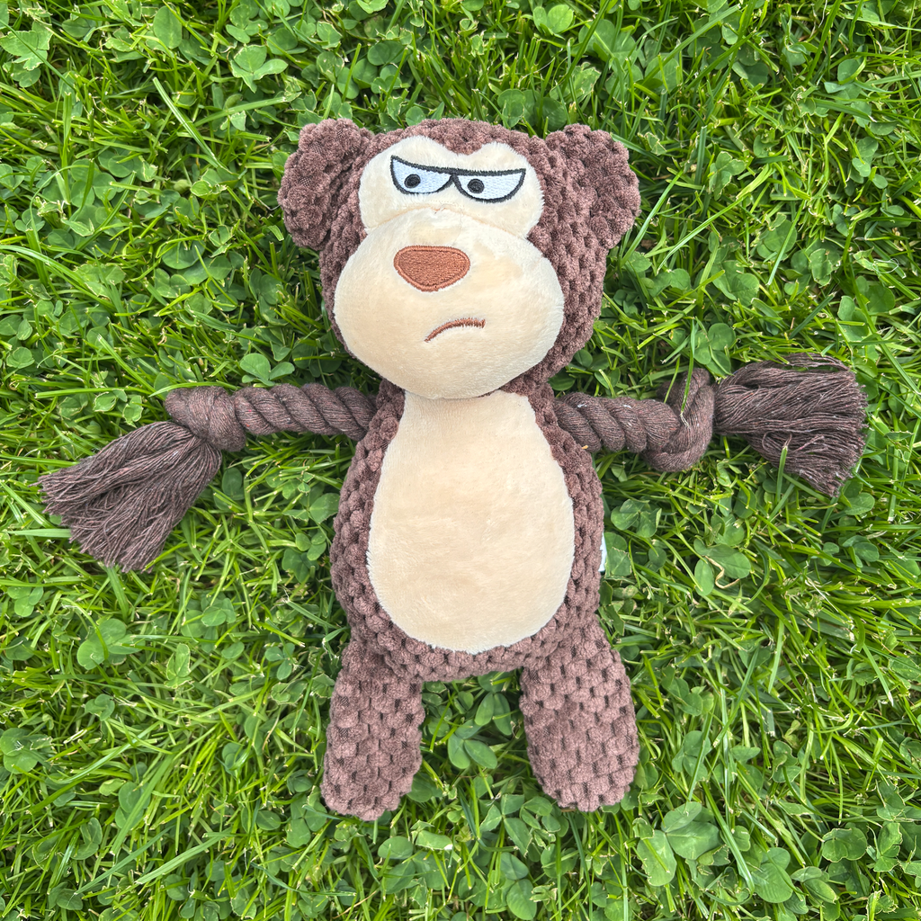 🦍 Max the Monkey – Goofy-Eyed Friends™ Plush Squeaky Dog Toy