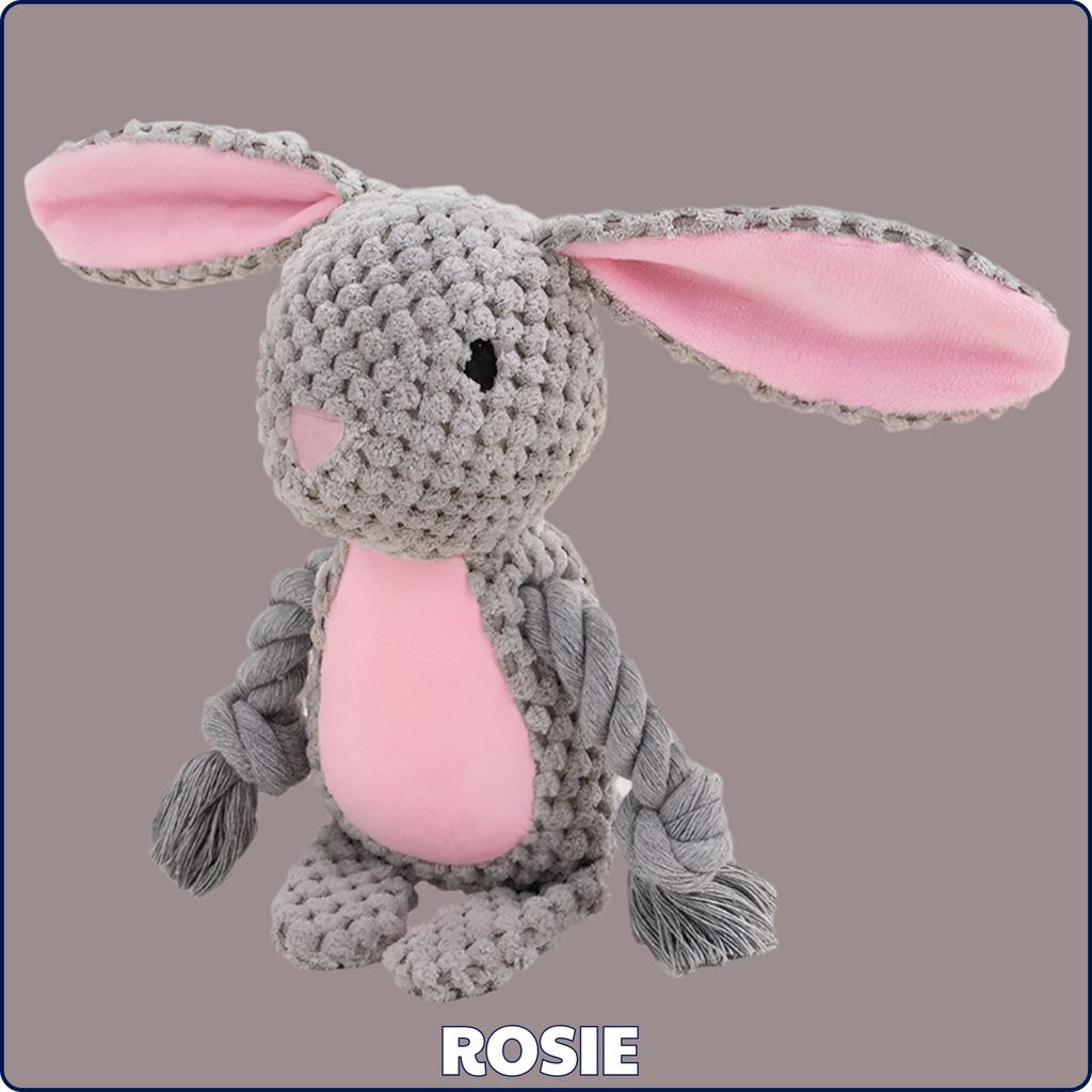 Rosie the Rabbit – Goofy-Eyed Friends™ Plush Squeaky Dog Toy
